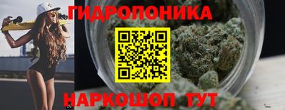jwh Гусев