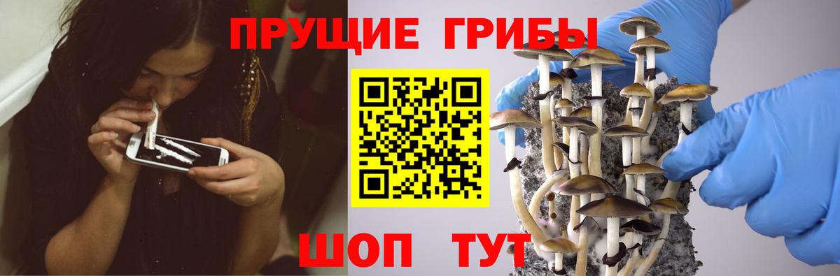 Галлюциногенные грибы мухоморы Минусинск